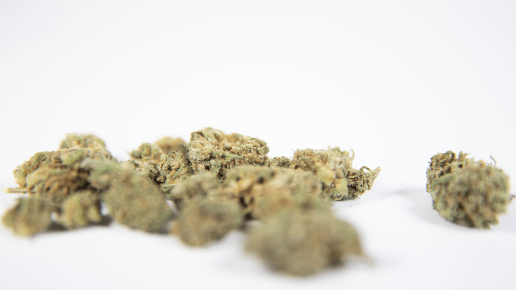 What Federal Cannabis Legalization Could Mean for Special Operations Veterans